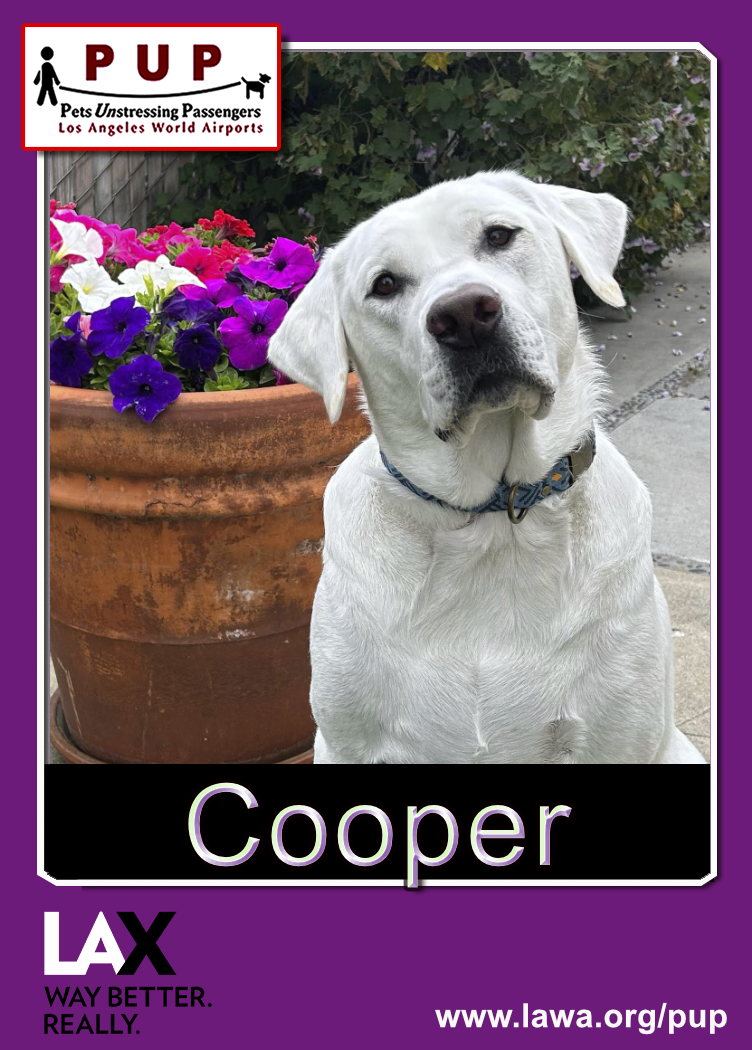 PUPs_Cooper