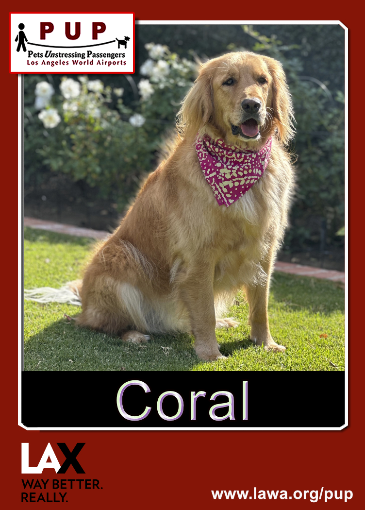 PUPs_Coral