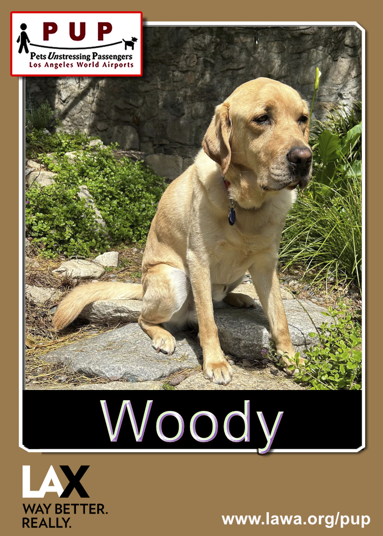 PUPs_Woody