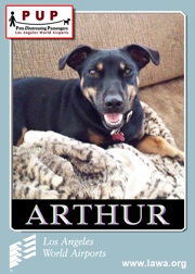 PUPs_Arthur