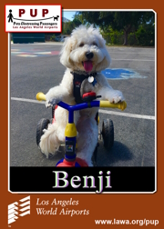 PUPs_Benji