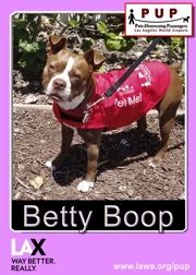 PUPs_Betty Boop