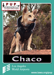 PUPs_Chaco