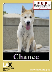 PUPs_Chance