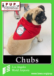 PUPs_Chubs