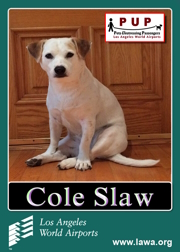 PUPs_ColeSlaw