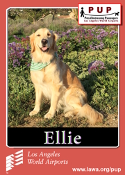 PUPs_Ellie