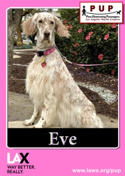 PUPs_EVE