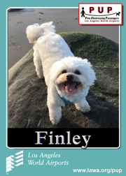 PUPs_Finley