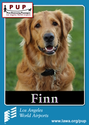 PUPs_Finn