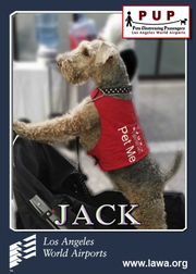 PUPs_Jack