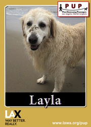 PUPs_Layla