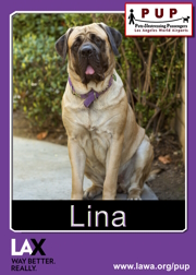 PUPs_Lina