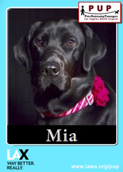 PUPs_Mia_2