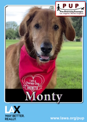 PUPs_Monty