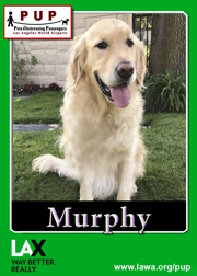 PUPs_Murphy