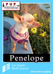 PUPs_Penelope