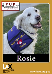 PUPs_Rosie