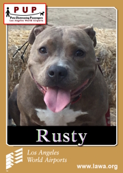 PUPs_Rusty De Groof