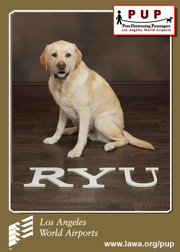 PUPs_Ryu