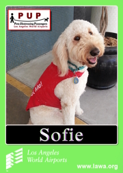 PUPs_Sofie