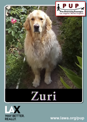 PUPs_Zuri