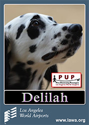 Delilah